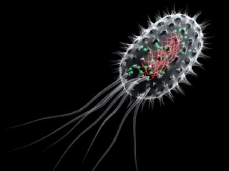 fluorescent microbe.jpg